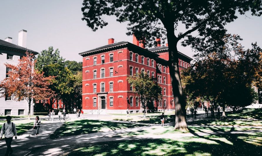 Купить диплом механика в Домодедово